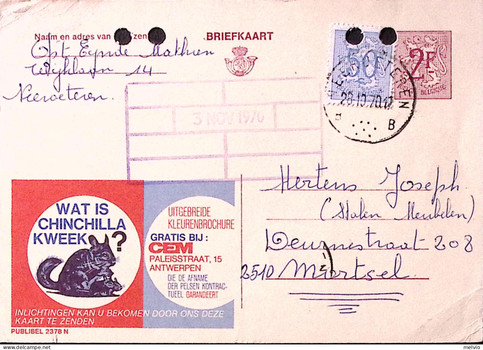 1970-Belgio Cartolina Postale Pubblicitaria WAT IS CHINCHILLA KWEEK Viaggiata, F - Sonstige & Ohne Zuordnung