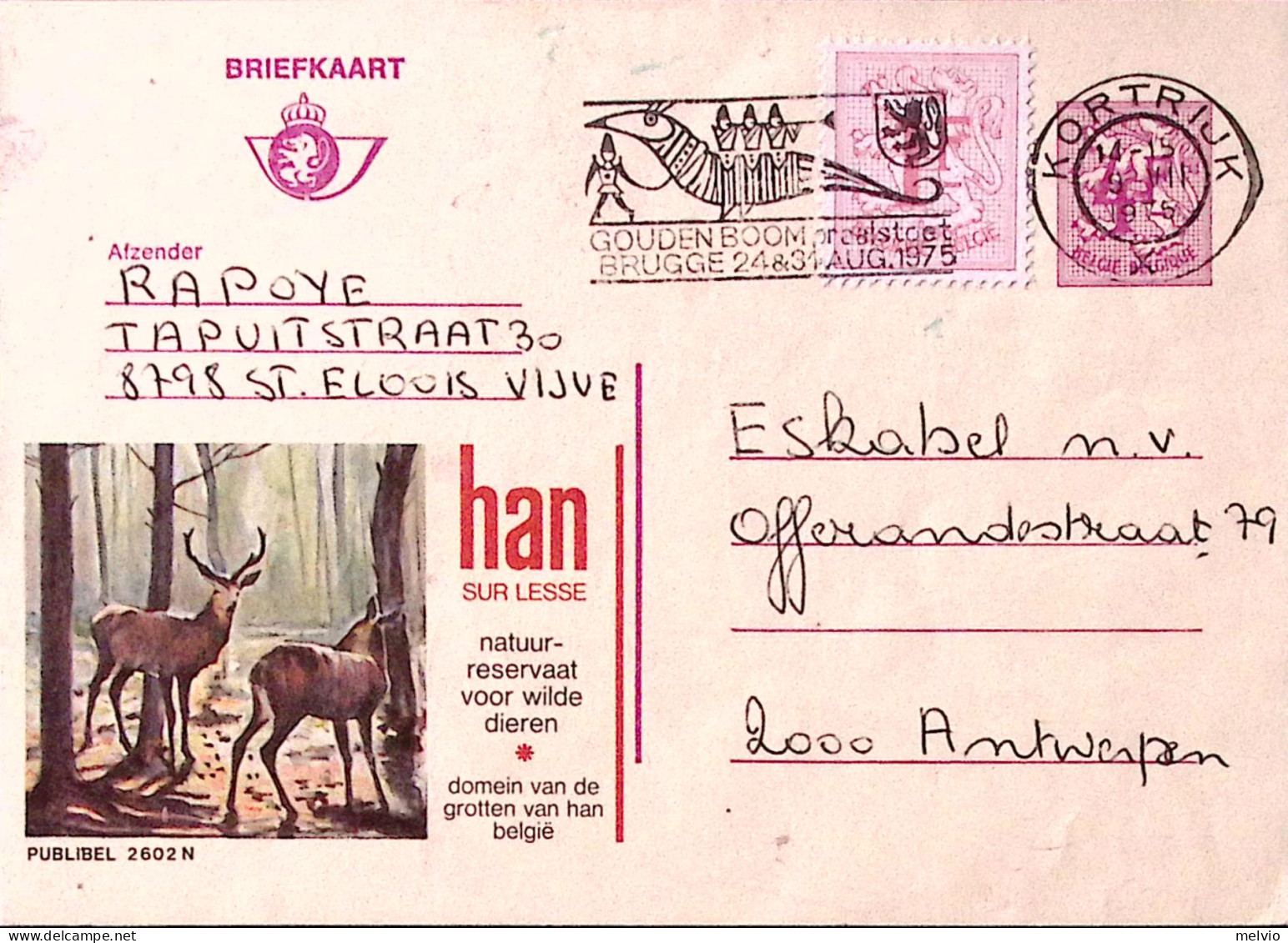 1975-Belgio Cartolina Postale Pubblicitaria HAN SUR LESSE Riserva Naturale Viagg - Altri & Non Classificati