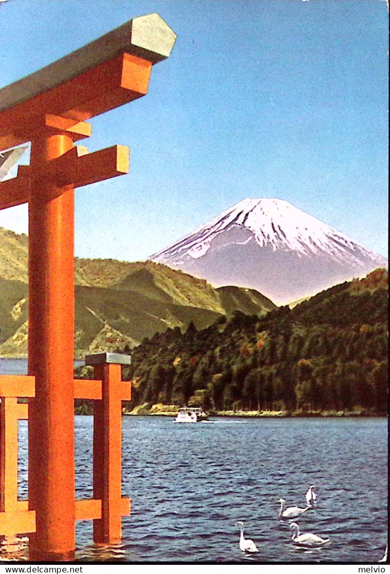 1959-Giappone Settimana Filatelica1959 (627) Su Stampe (propaganda Medicinali) T - Brieven En Documenten