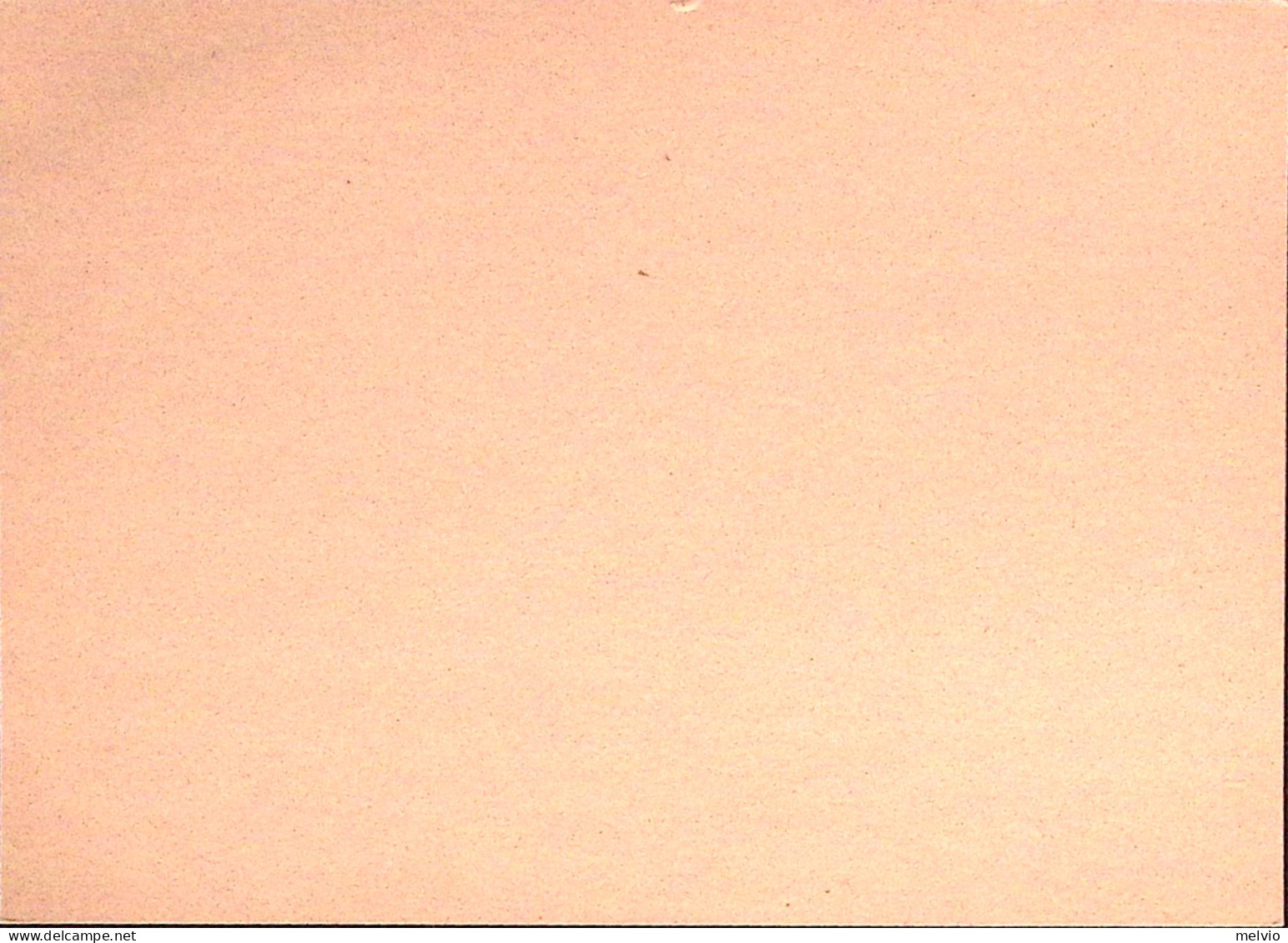 1969-COMITATO UNICEF Guttuso Cartolina Postale IPZS Lire 180 + Lire 2870 Nuova - Stamped Stationery