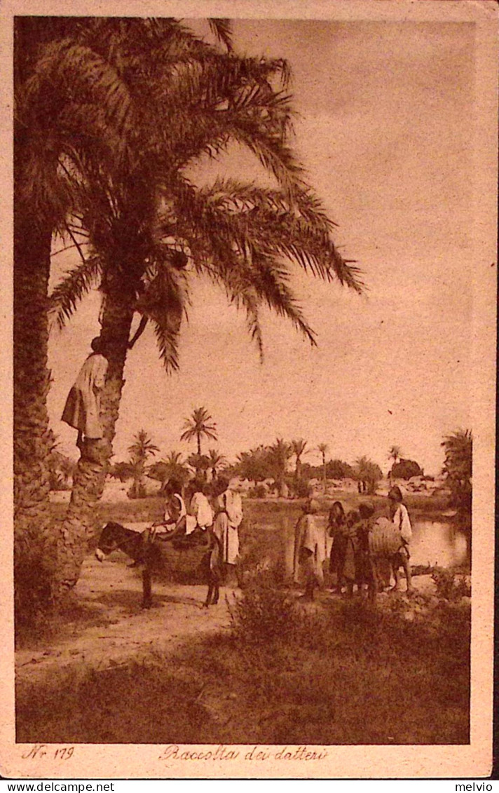 1918-ERITREA Vedute C.25 + Leoni C.5 Su Cart. Illustr. - Erythrée