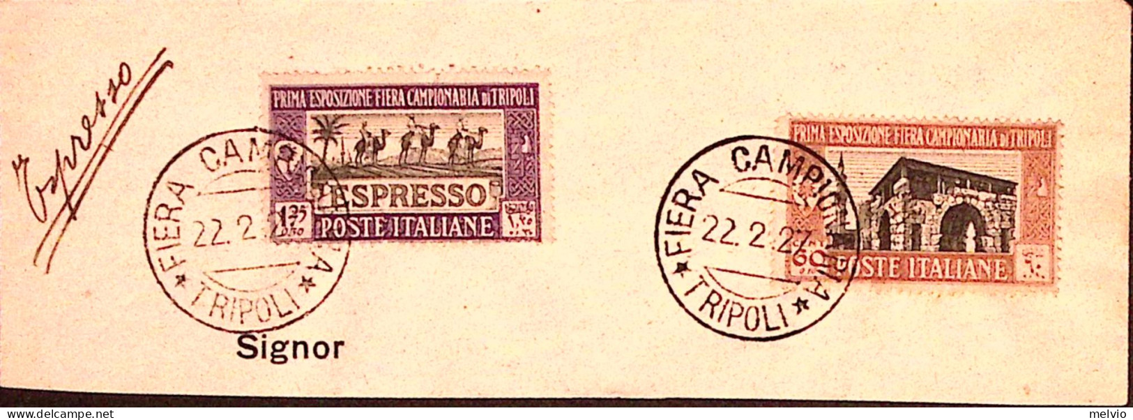 1927-LIBIA 1 FIERA TRIPOLI C.60 E Lire 1,25 Su Largo Frammento Di Espresso Annul - Libya