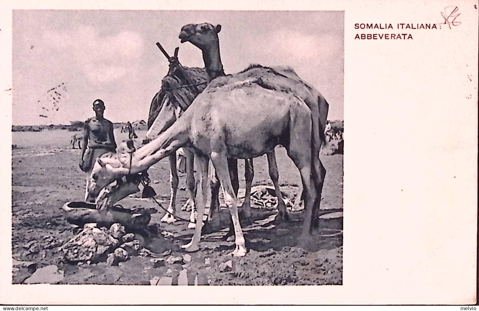 1936-Posta Militare 98 (30.7.36) Manoscr. Belet Uen Su Cartolina Illustrata Affr - Somalia