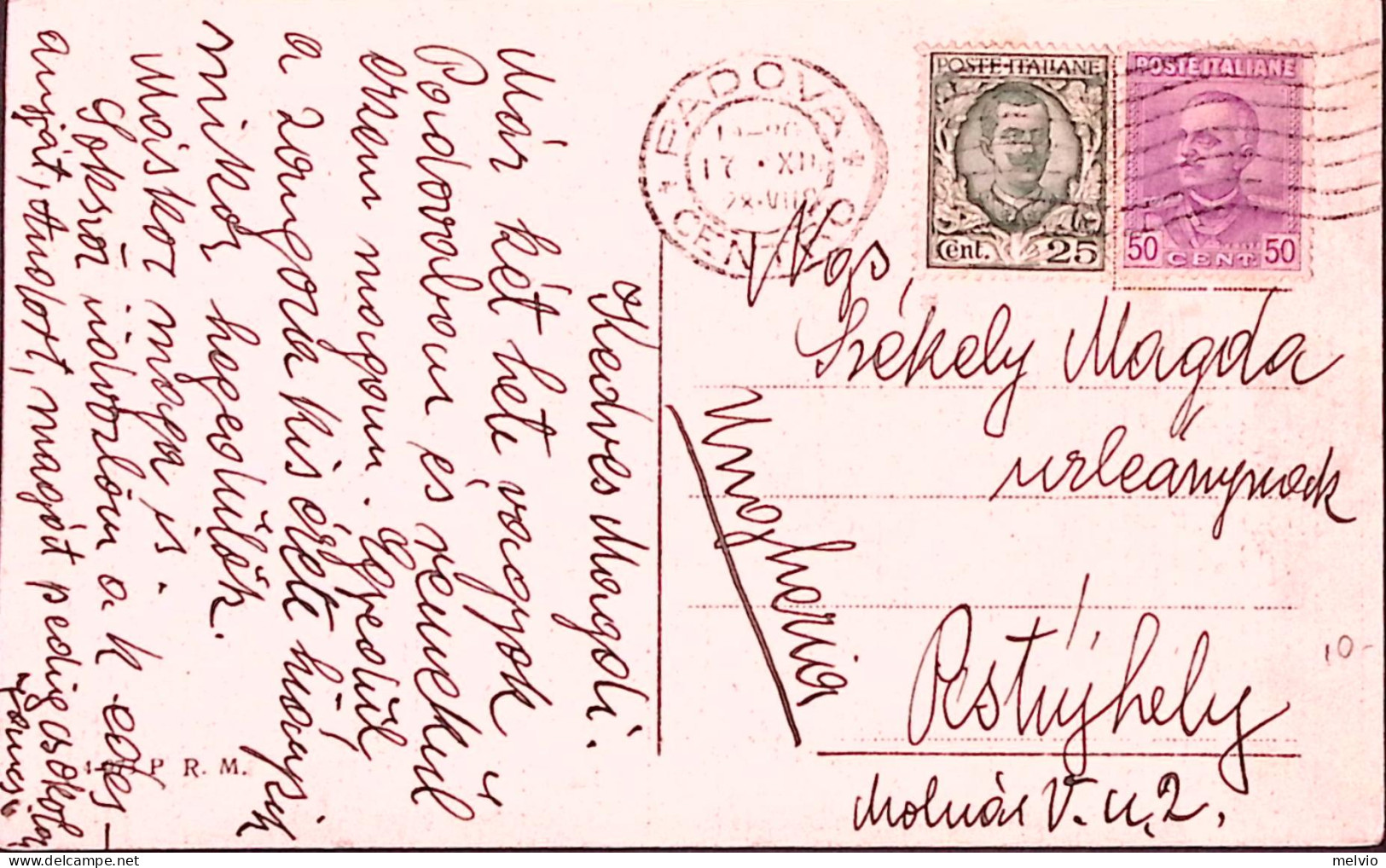 1928-Floreale C.25+ Effigie C.50 Su Cartolina Illustrata Per Ungheria - Poststempel