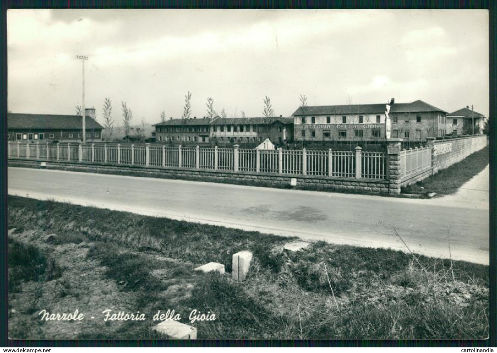 Cuneo Narzole Fattoria Della Gioia Foto FG Cartolina MZ1880 - Cuneo