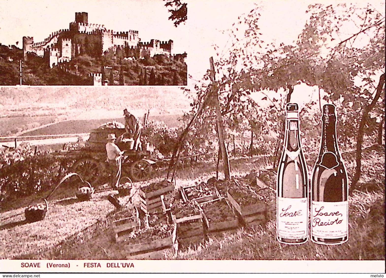 1970-SOAVE Festa Dell'uva, Annullo Speciale (20.9) - 1961-70: Marcofilie