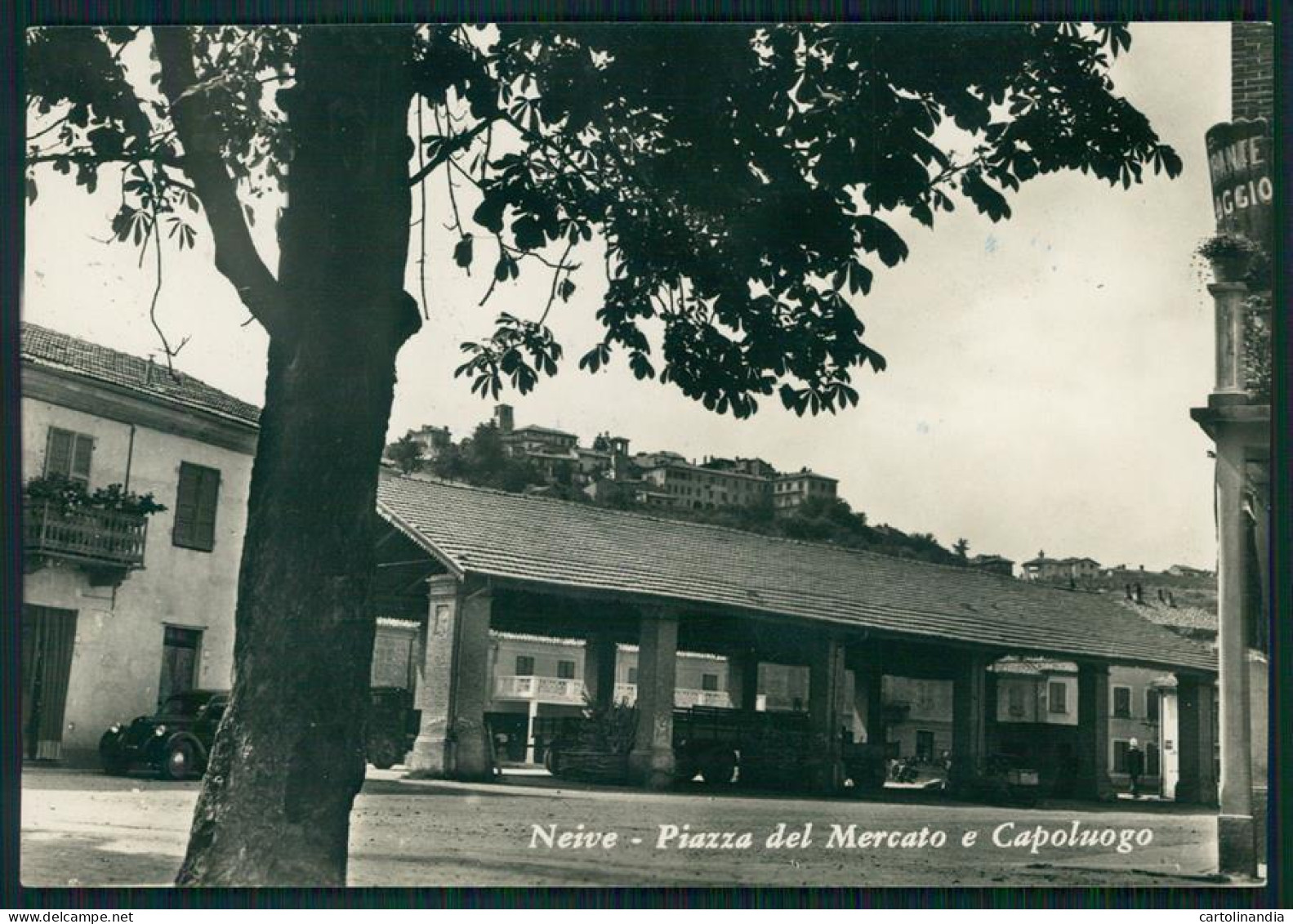 Cuneo Neive Piazza Del Mercato Foto FG Cartolina MZ1884 - Cuneo