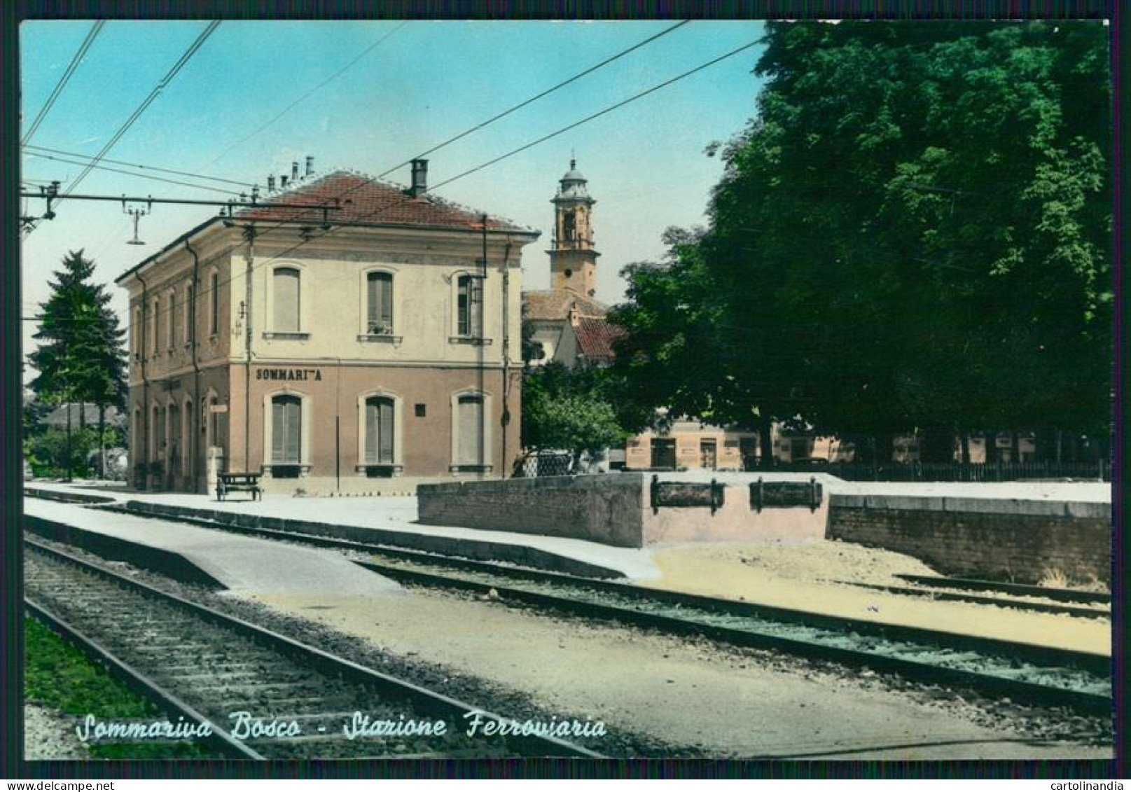 Cuneo Sammariva Bosco Stazione Foto FG Cartolina MZ1896 - Cuneo