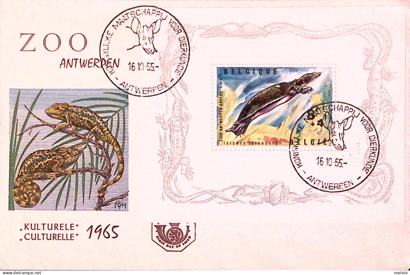 1965-Belgio  Animali Zoo Di Anversa (Fg. 39) Fdc - Autres & Non Classés