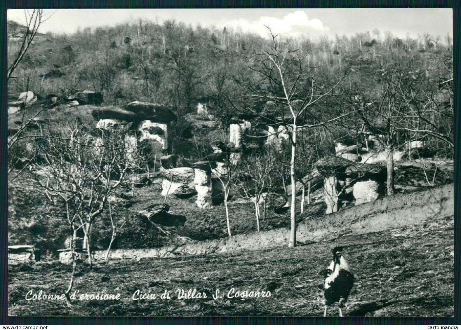 Cuneo Villar San Costanzo I Ciciu Foto FG Cartolina MZ1910 - Cuneo