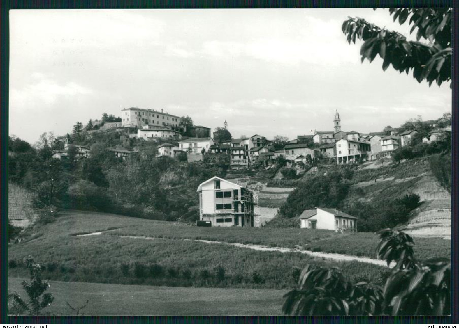 Cuneo Pocapaglia Foto FG Cartolina MZ1953 - Cuneo