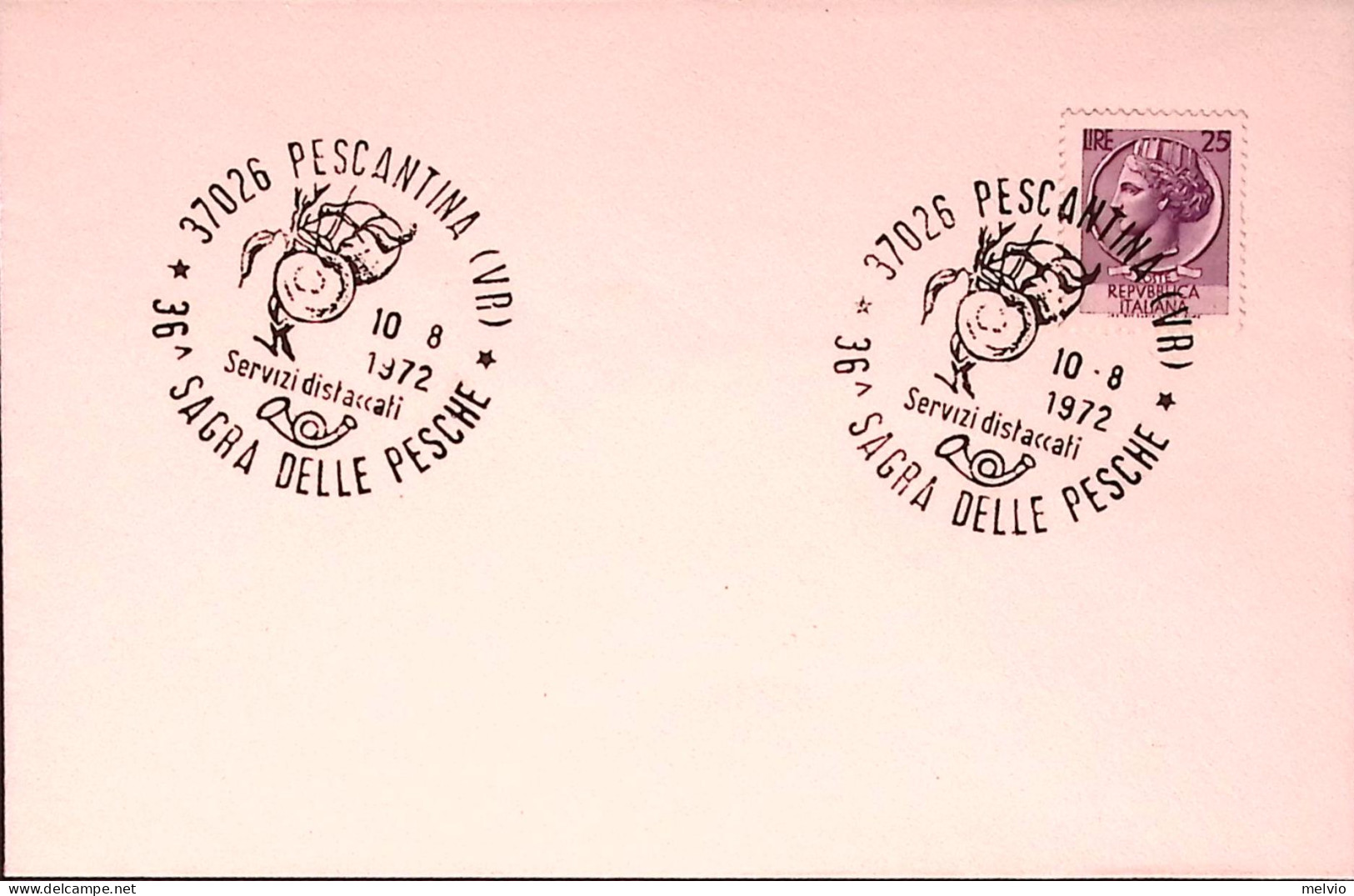 1972-36 SAGRA PESCHE/PESCANTINA Annullo Speciale (10.8) Su Busta - 1971-80: Marcophilie