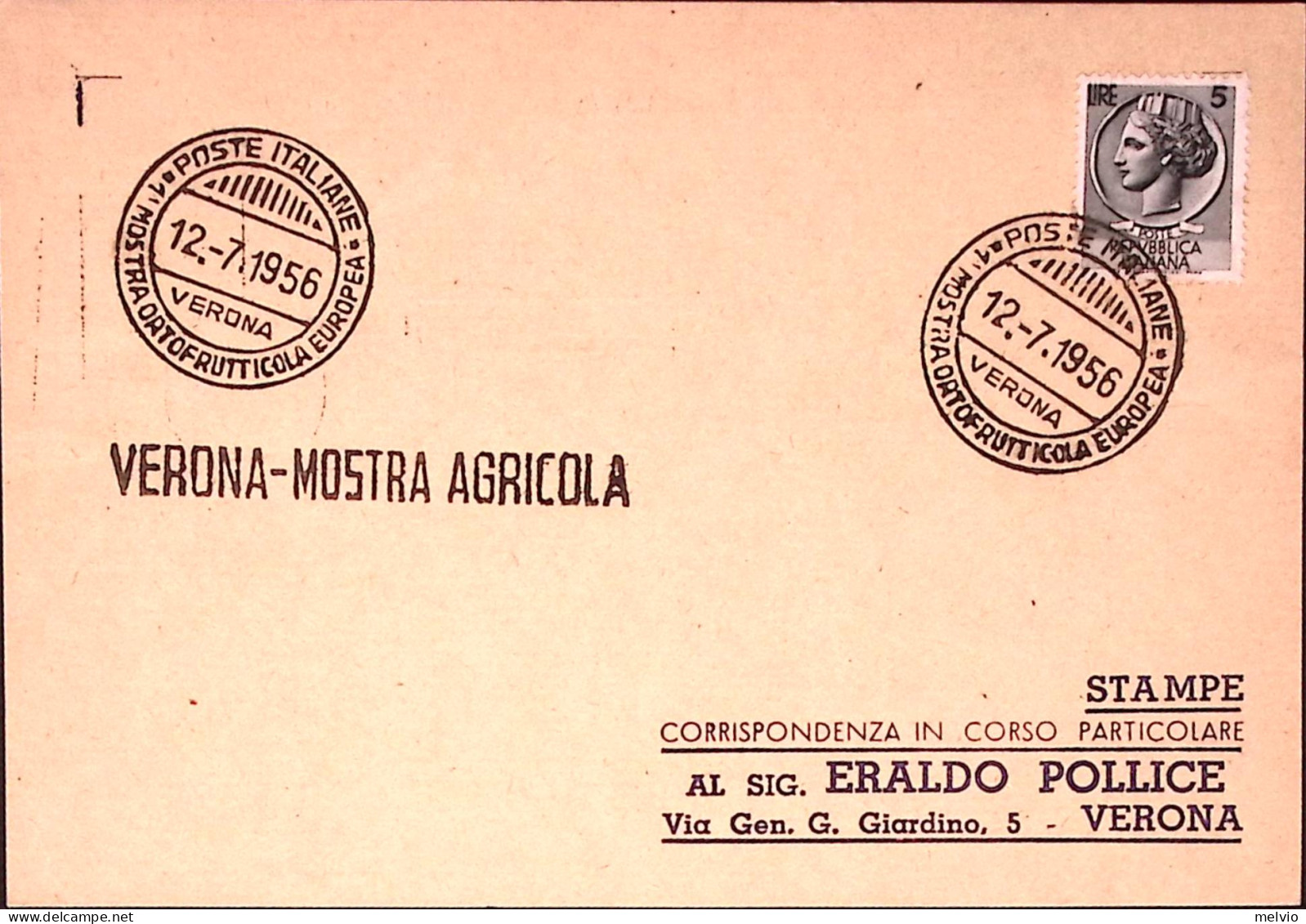 1956-1 MOSTRA ORTOFRUTTICOLA EUROPEA/VERONA Annullo Speciale E Lineare (12.7) Su - Ausstellungen