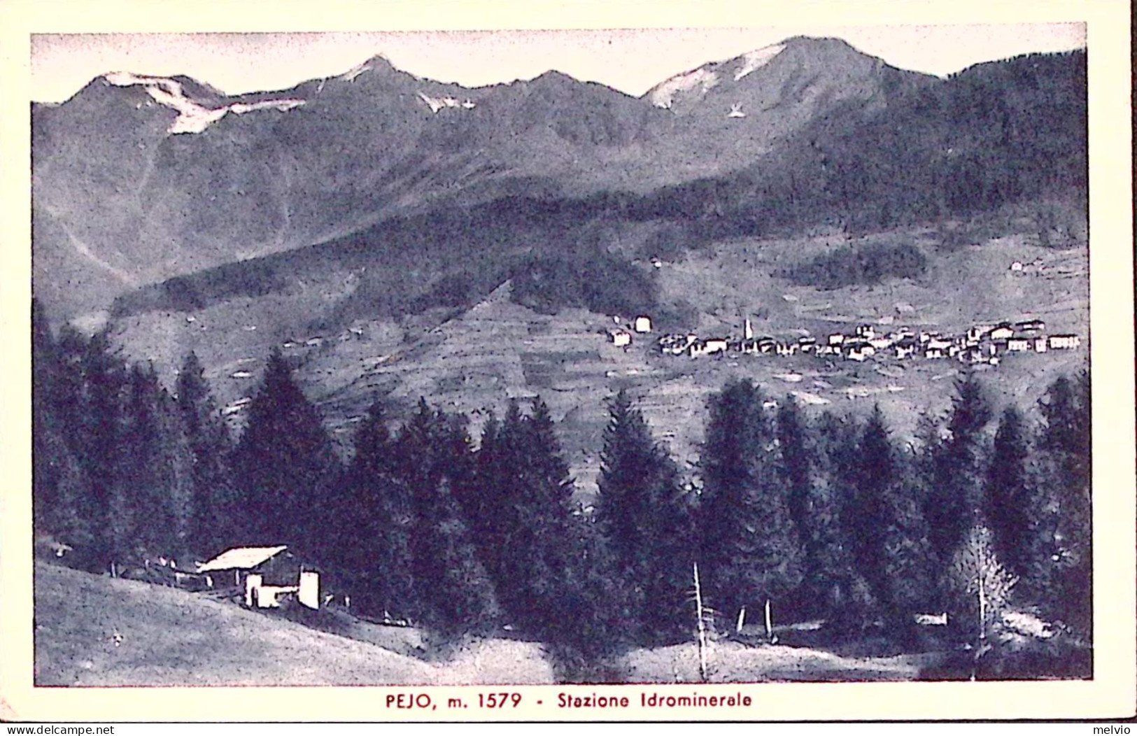 1939-PEJO ANTICA FONTE/TRENTO C.2 (18.7) Su Cartolina Illustrata (Pejo Stazione  - Marcophilia