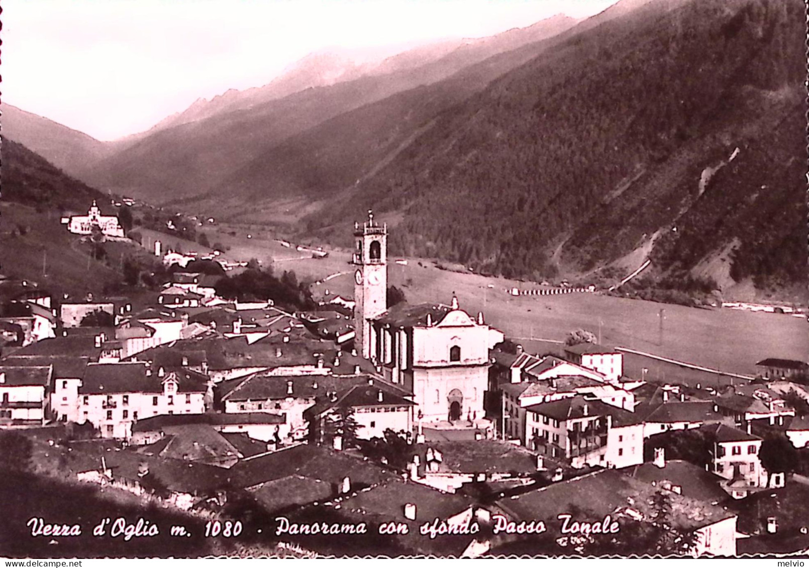 1960-VEZZA D'OGLIO Panorama Con Sfondo Passo Tonale, Viaggiata, Francobollo Cadu - Brescia