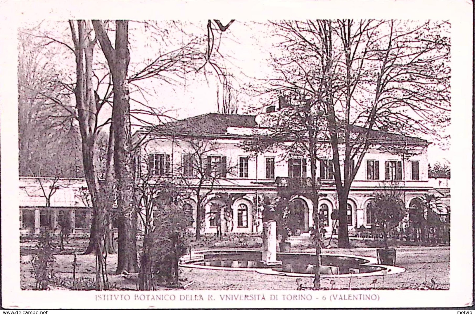 1924-TORINO Istituto Botanico Universita' Di Torino Valentino, Viaggiata - Sonstige & Ohne Zuordnung