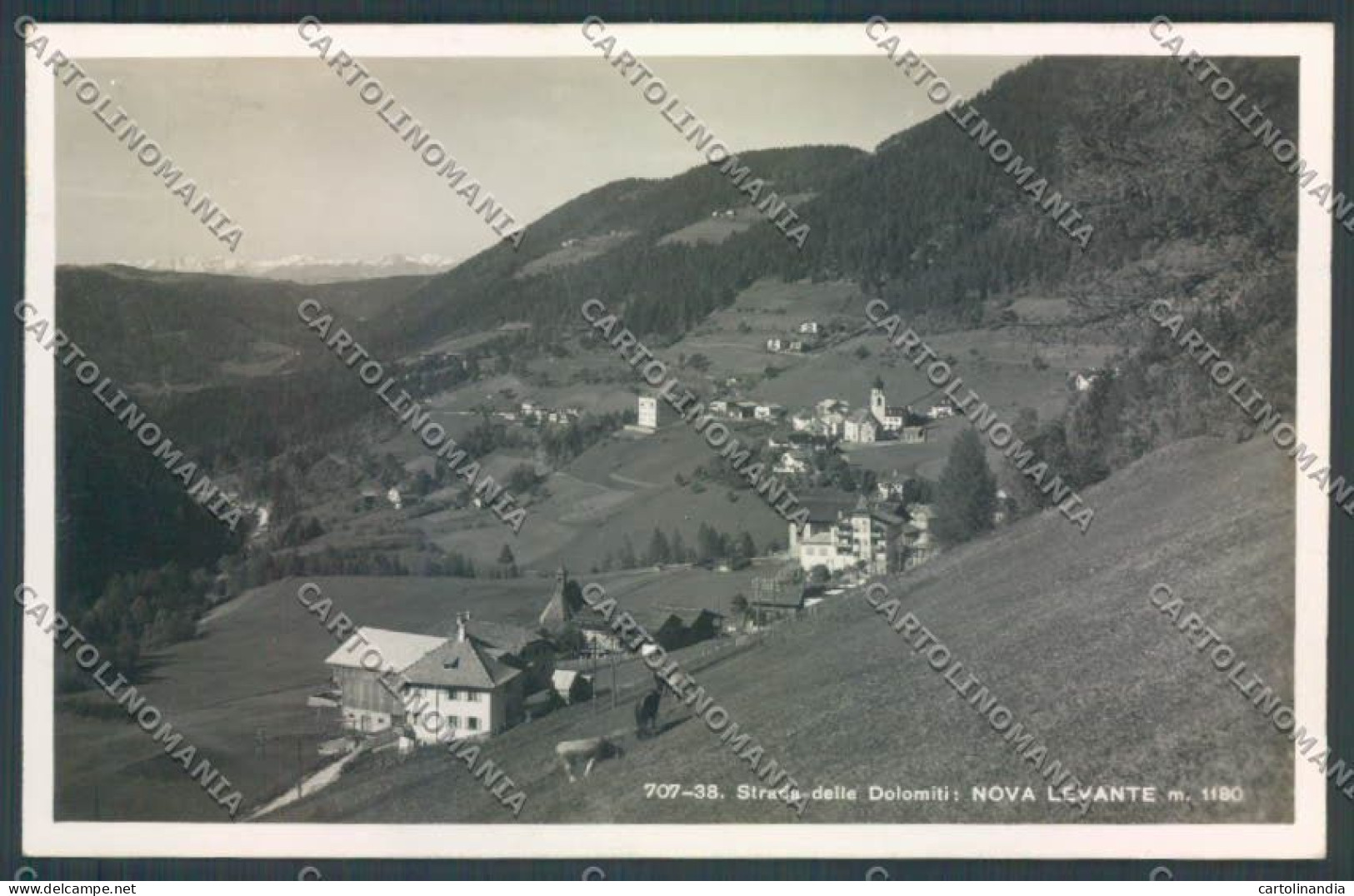 Bolzano Nova Levante Foto Cartolina ZB0160 - Bolzano