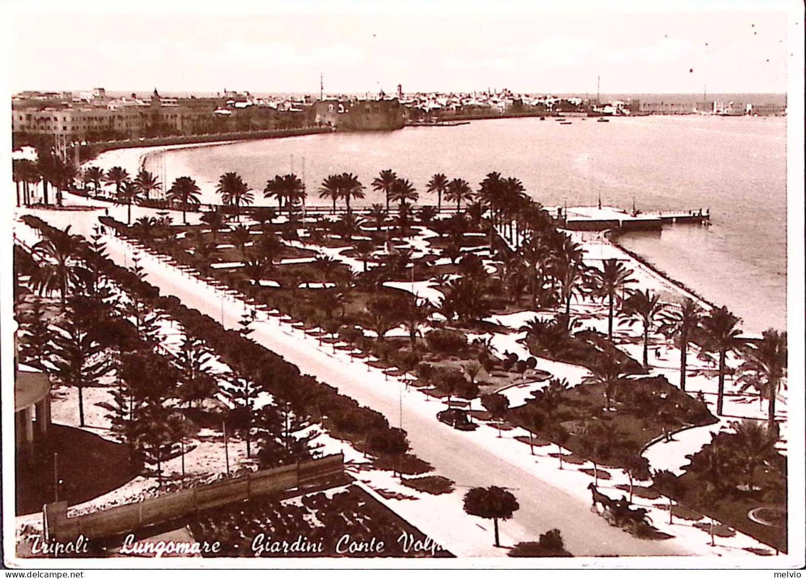 1942-LIBIA PA AUGUSTO C.50 + Ordinaria C.50 Su Cartolina (Tripoli Giardino Conte - Libyen