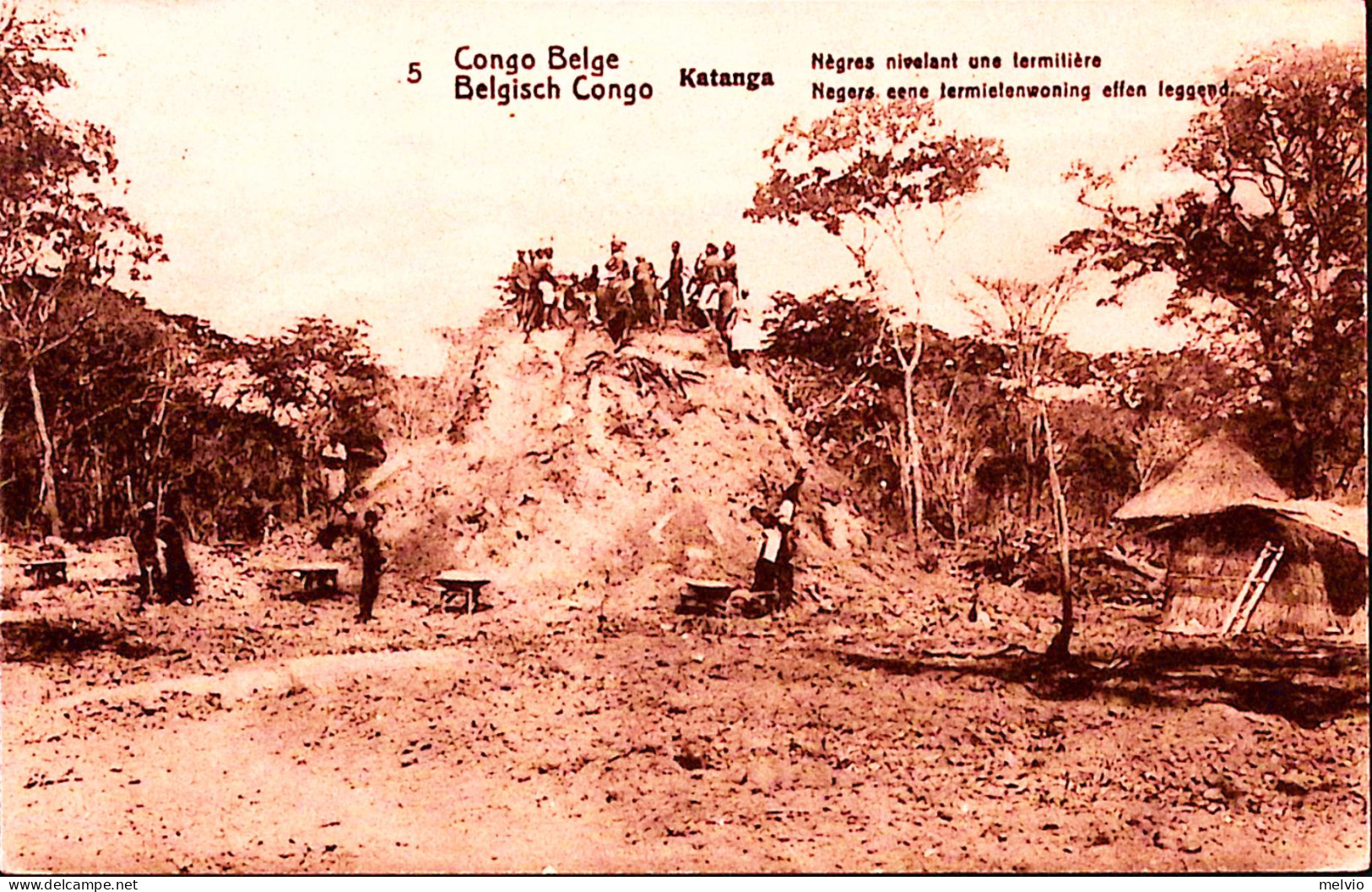 1918-CONGO BELGA Cartolina Postale C.10 Katanga Negres Nivelant Une Termitiere ( - Sonstige & Ohne Zuordnung