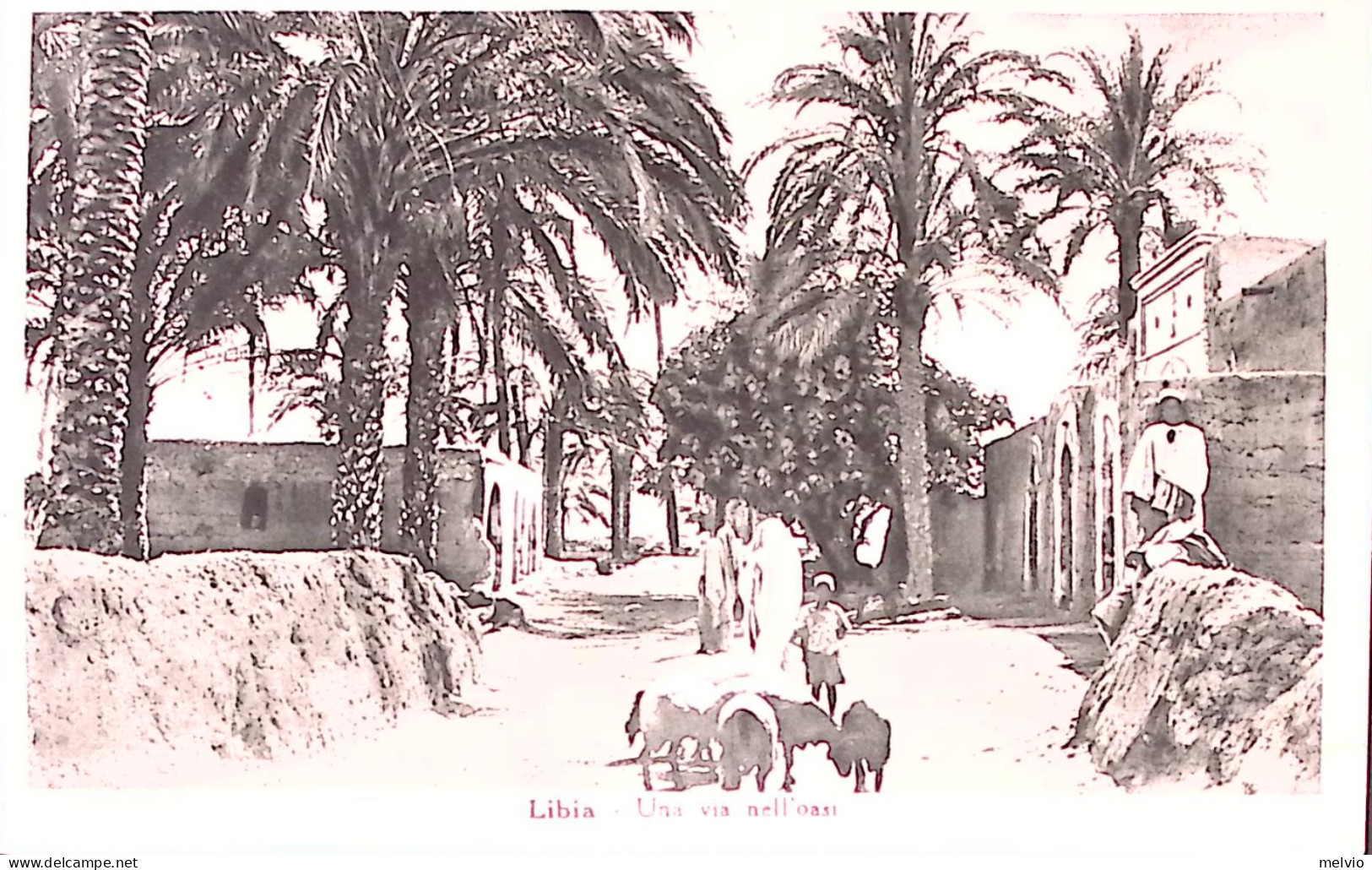 1940-Posta Militare/n.ro 56 C.2 (18.12) Su Cartolina (Libia Una Via Nell'Oasi))  - Libya