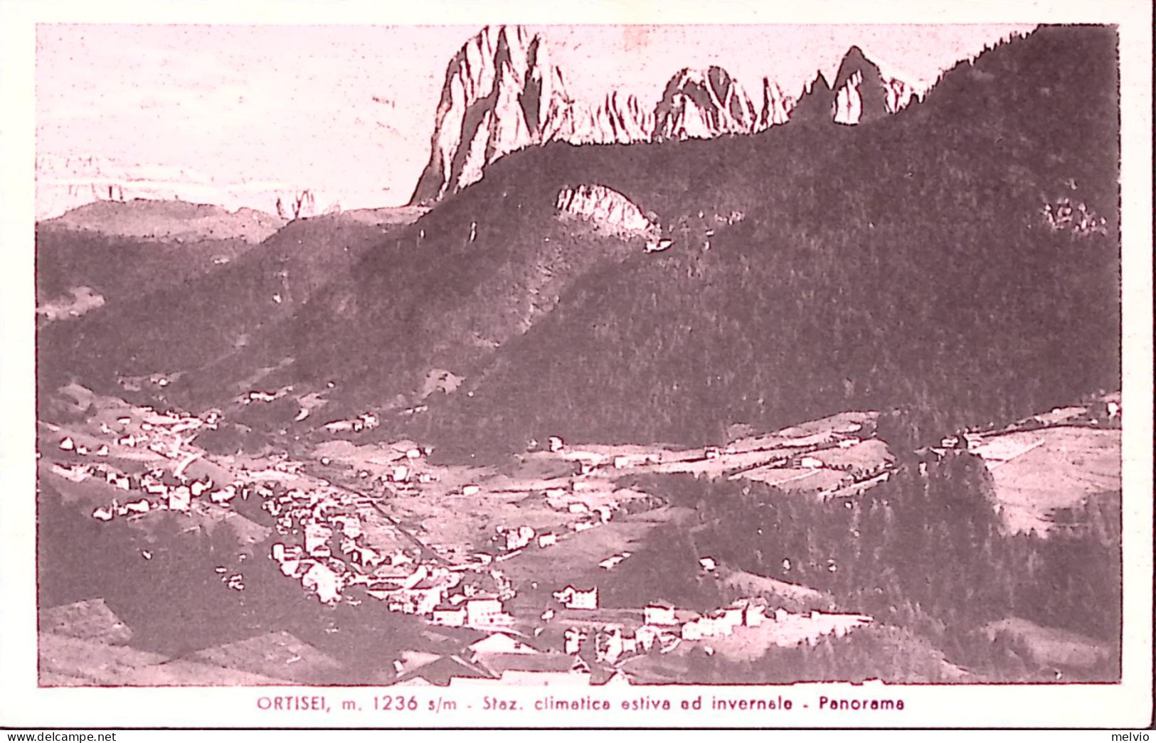 1951-ORTISEI Panorama Viaggiata - Bolzano