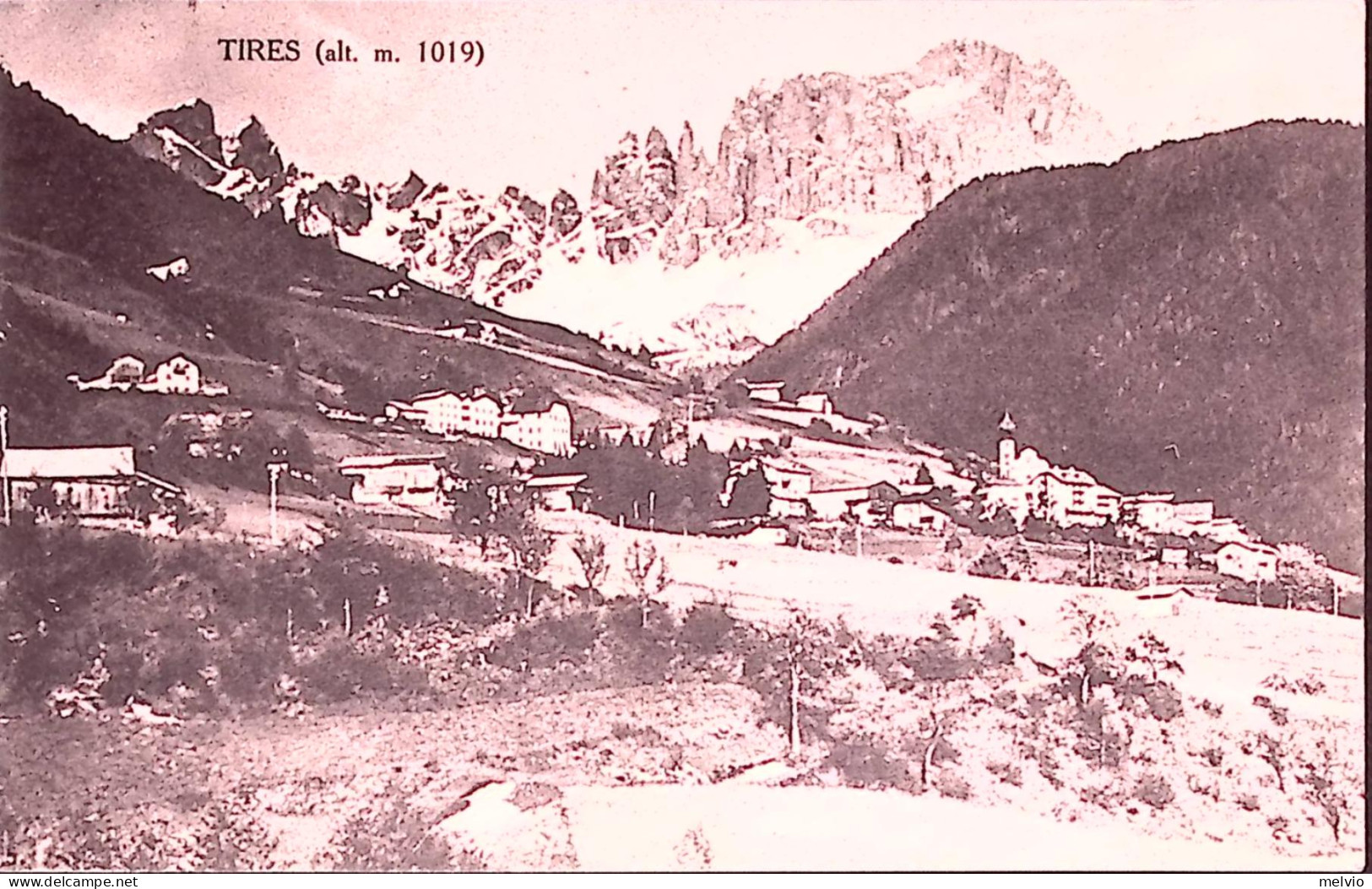 1939-TIRES, Panorama, Viaggiata (21.7) - Siena