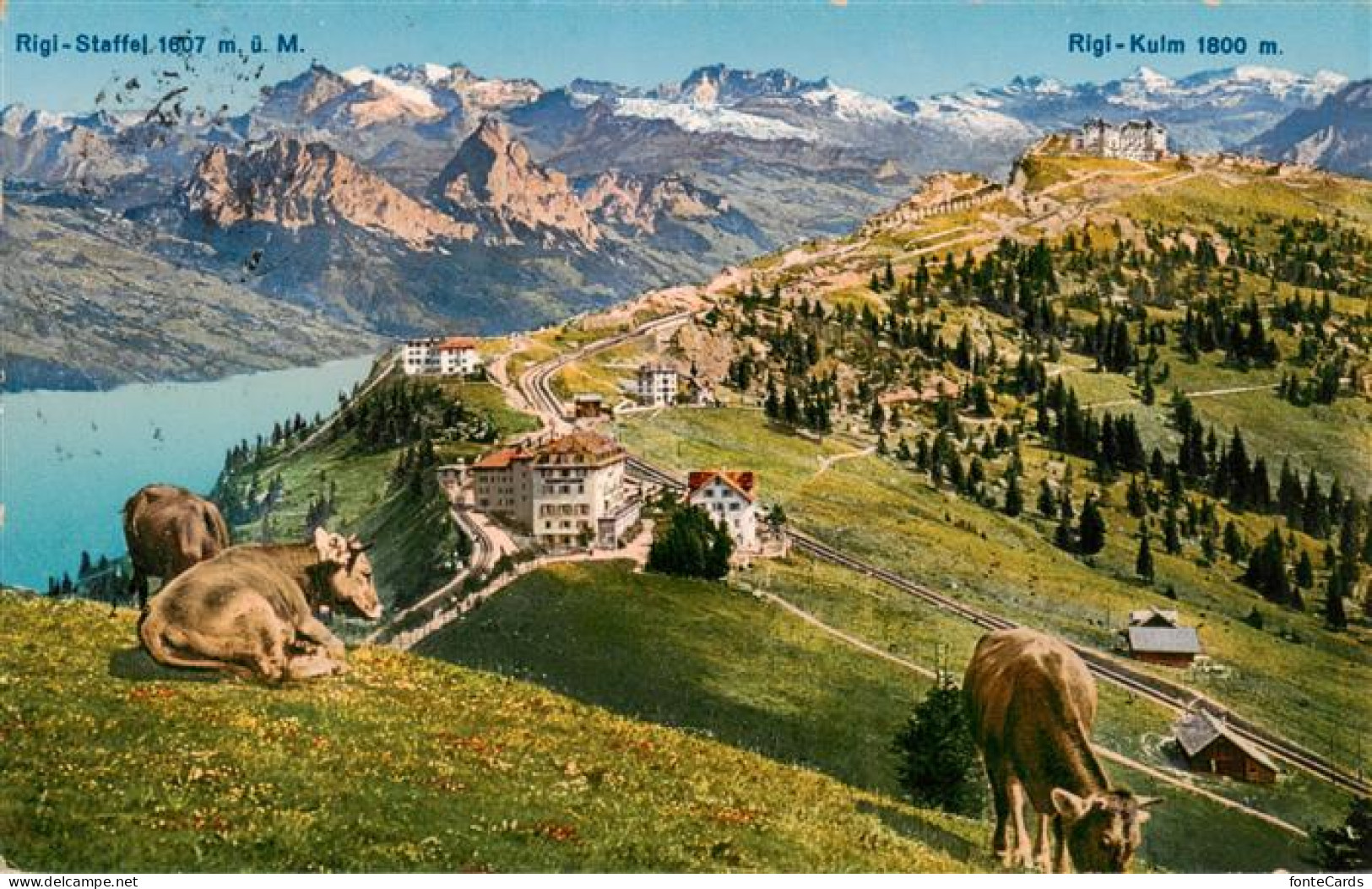 13921421 Rigi_Staffel Panorama Alpen - Otros & Sin Clasificación