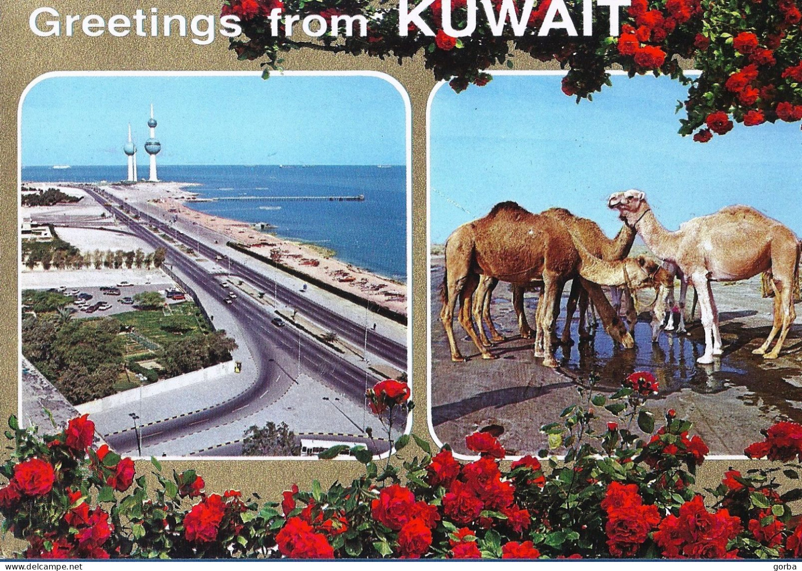 *CPM - KOWEIT -  Multivue - Kuwait