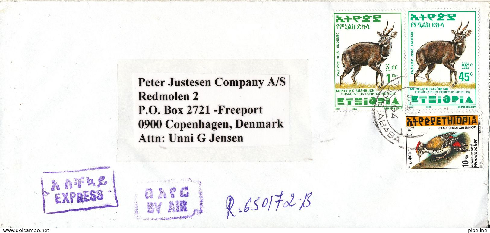 Ethiopia Registered Cover Sent Air Mail To Denmark 6-8-2002 Topic Stamps (sent From The Embassy Of Russia Addis Ababa) - Etiopía