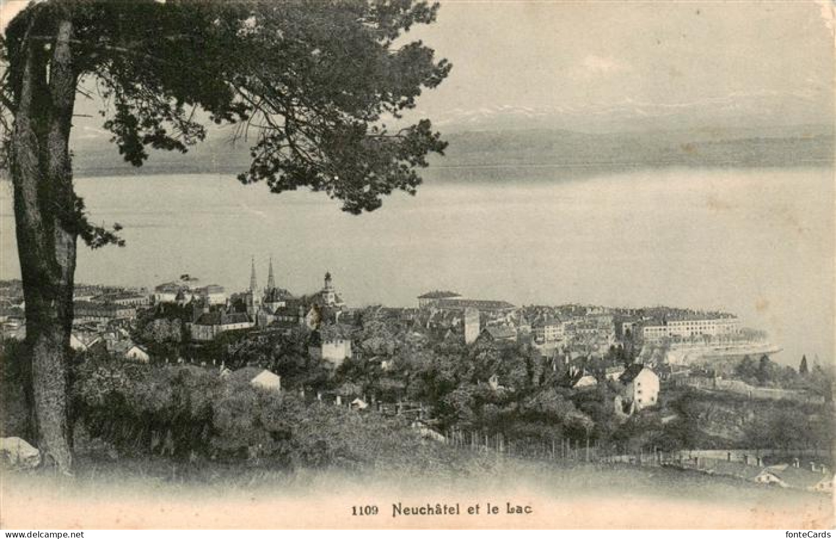 13920721 Neuchatel_NE Panorama Et Le Lac - Autres & Non Classés