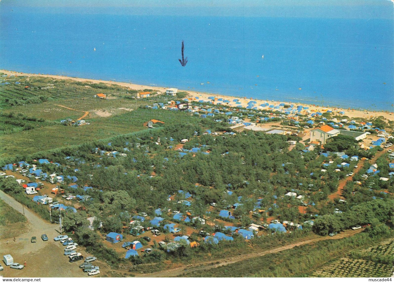 MARSEILLAN PLAGE - CAMPING DES SIRENES - Marseillan