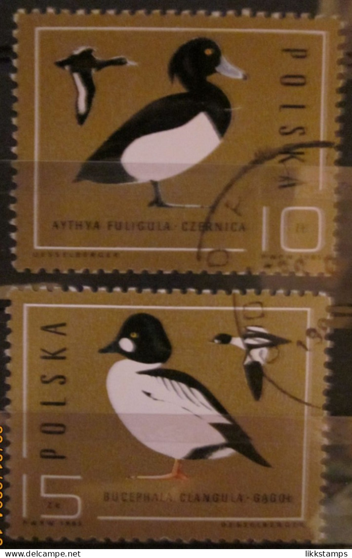 POLAND ~ 1985 ~ S.G. NUMBERS S.G. 3013 - 3014. ~ WILD DUCKS ~ VFU #03528 - Used Stamps