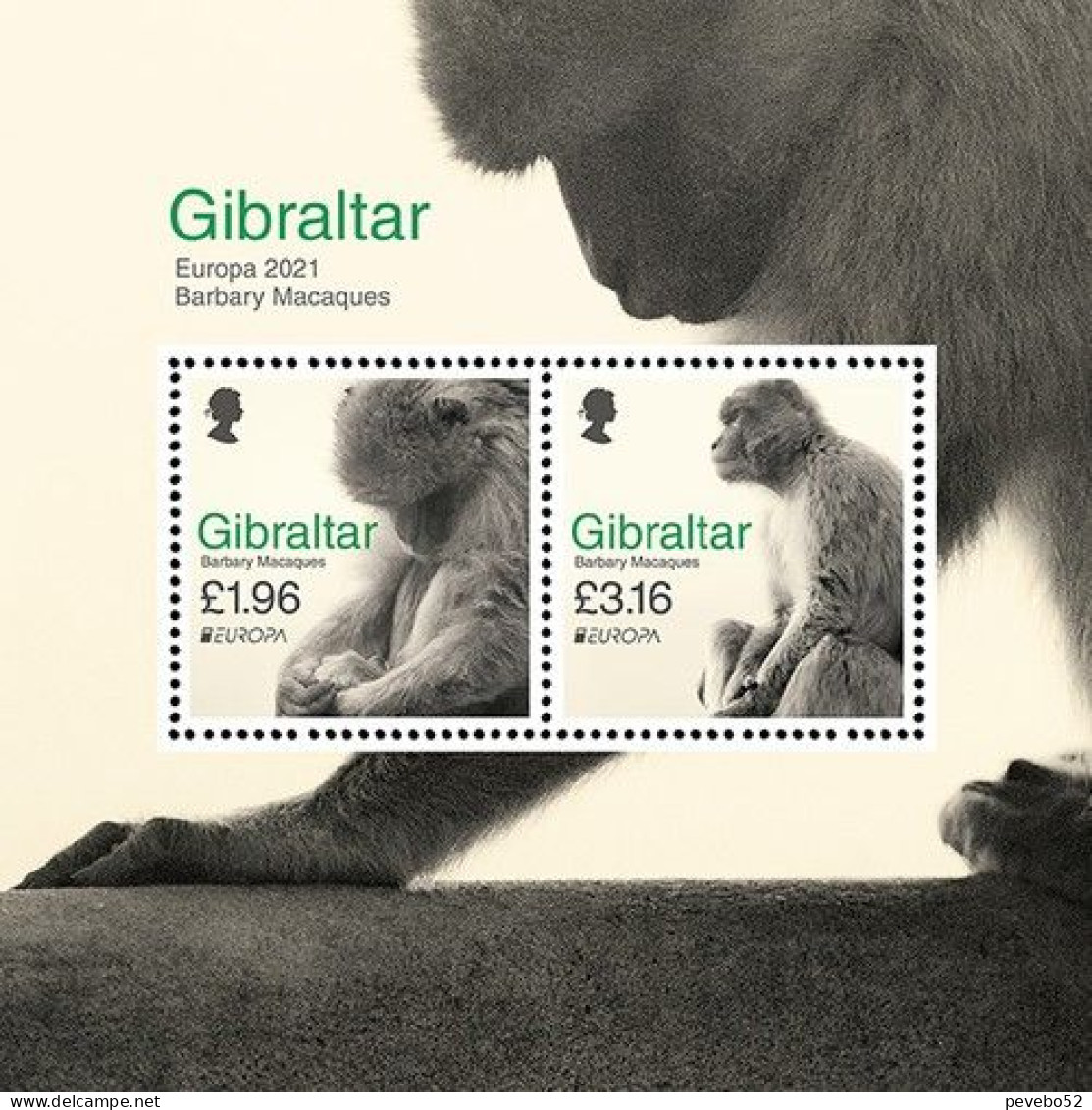 GIBRALTAR 2021 - EUROPA Stamps - Barbary Macaques MNH - Gibilterra