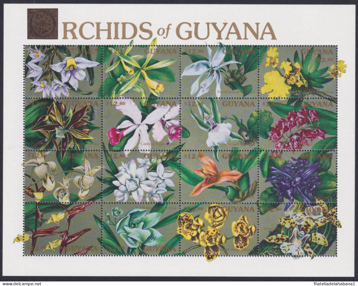 F-EX49044 GUYANA MNH 1990 FLOWER FLORES ORQUIDEAS ORCHID COMPLETE SHEET.  - Orchideen