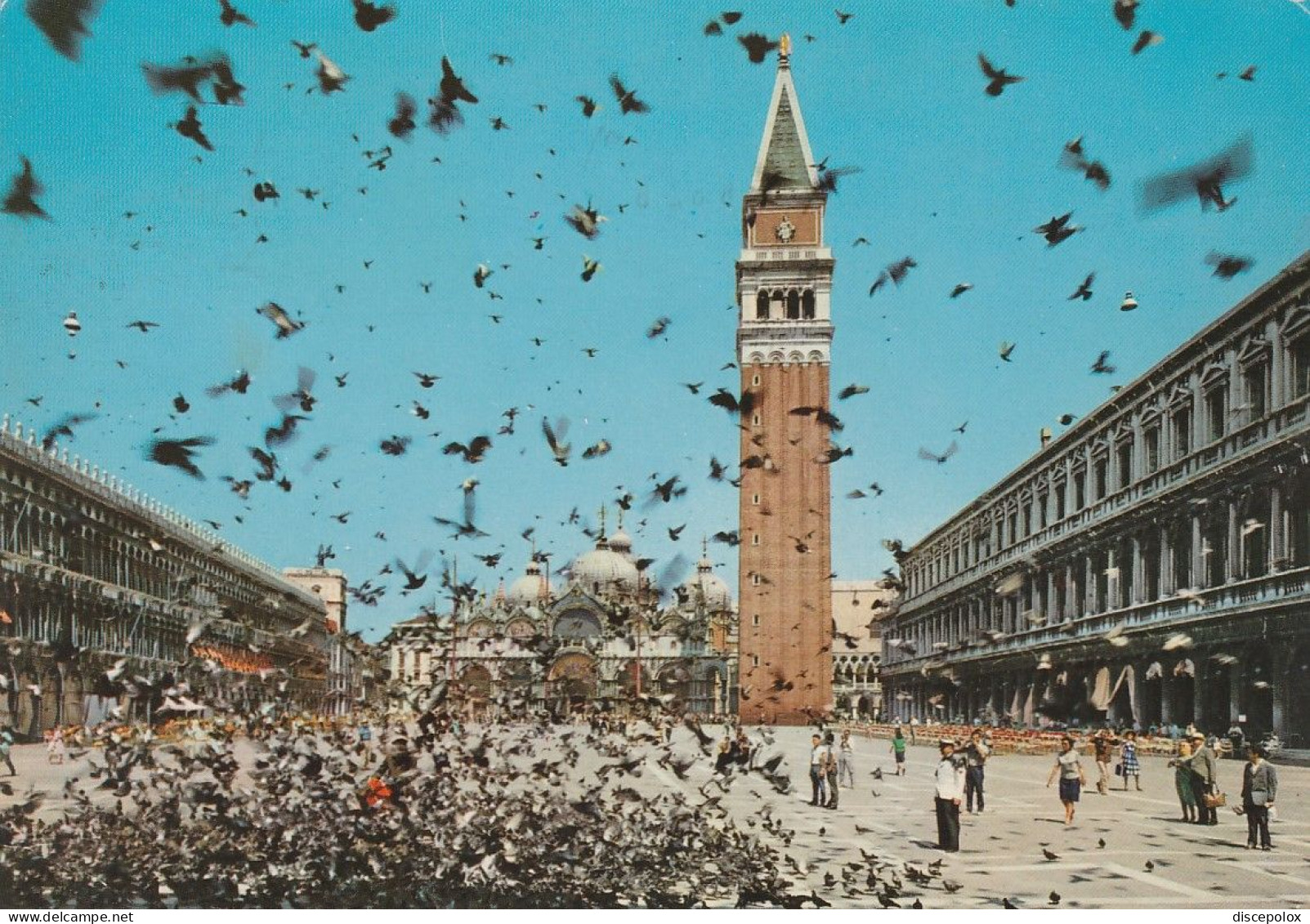 U6083 Venezia - Volo Di Piccioni In Piazza San Marco / Viaggiata 1982 - Venezia (Venedig)