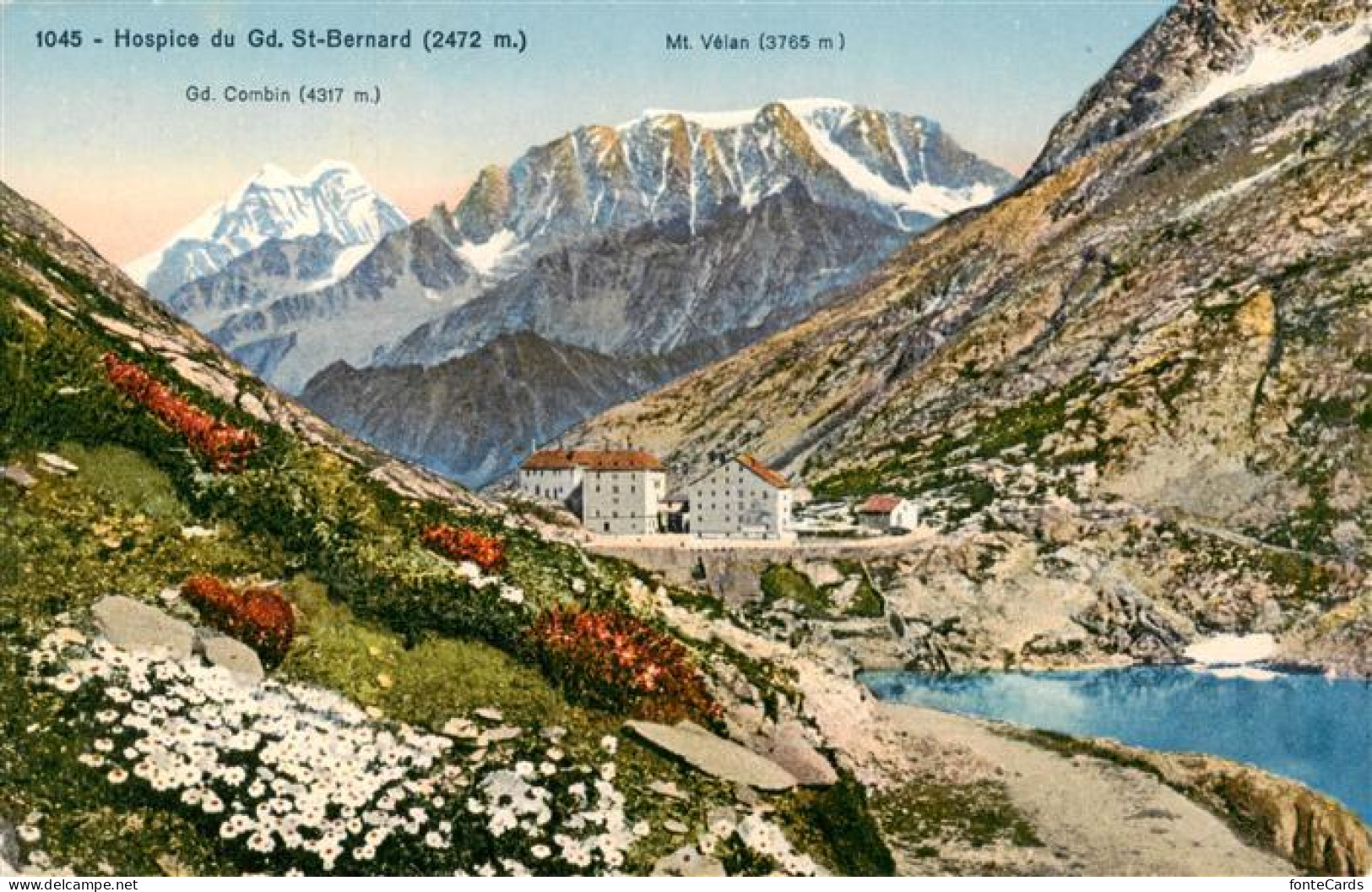 13919936 Hospice_du_Grand-Saint-Bernard_VS Mit Grand Combin Und Mont Velan - Sonstige & Ohne Zuordnung