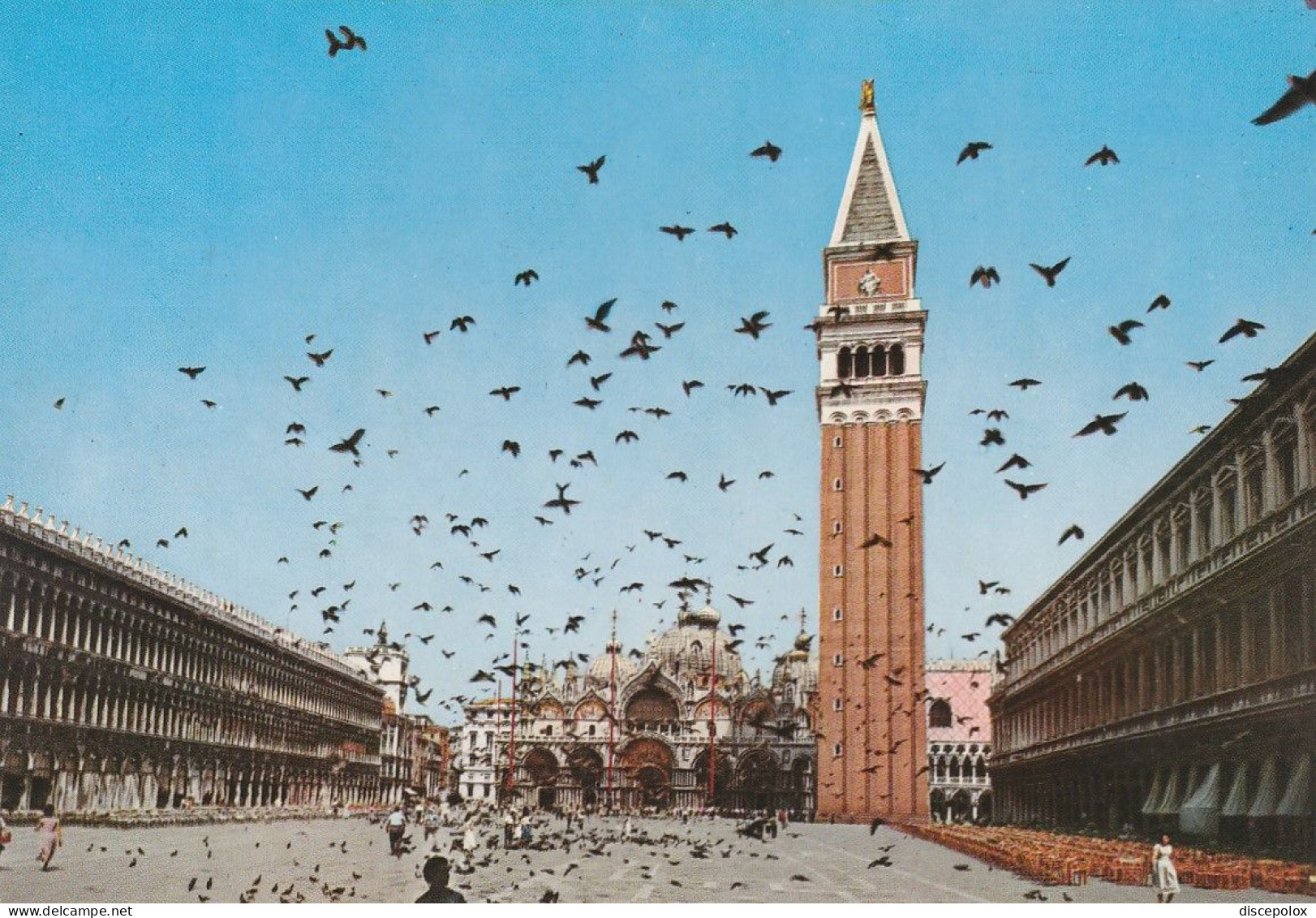 U6084 Venezia - Volo Di Piccioni In Piazza San Marco / Non Viaggiata - Venezia (Venedig)