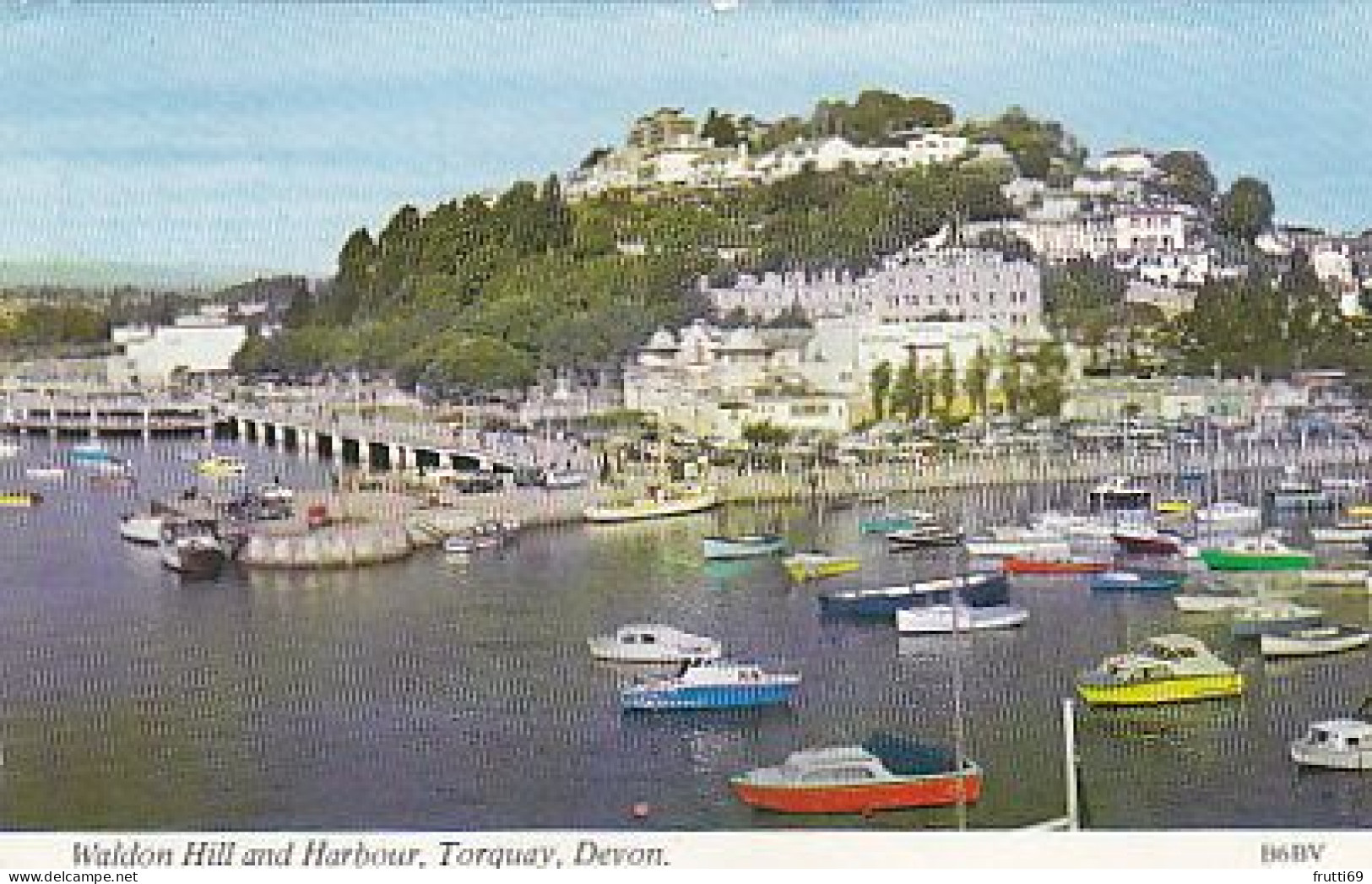 AK 214725 ENGLAND - Torquay - Waldon Hill And Harbour - Torquay