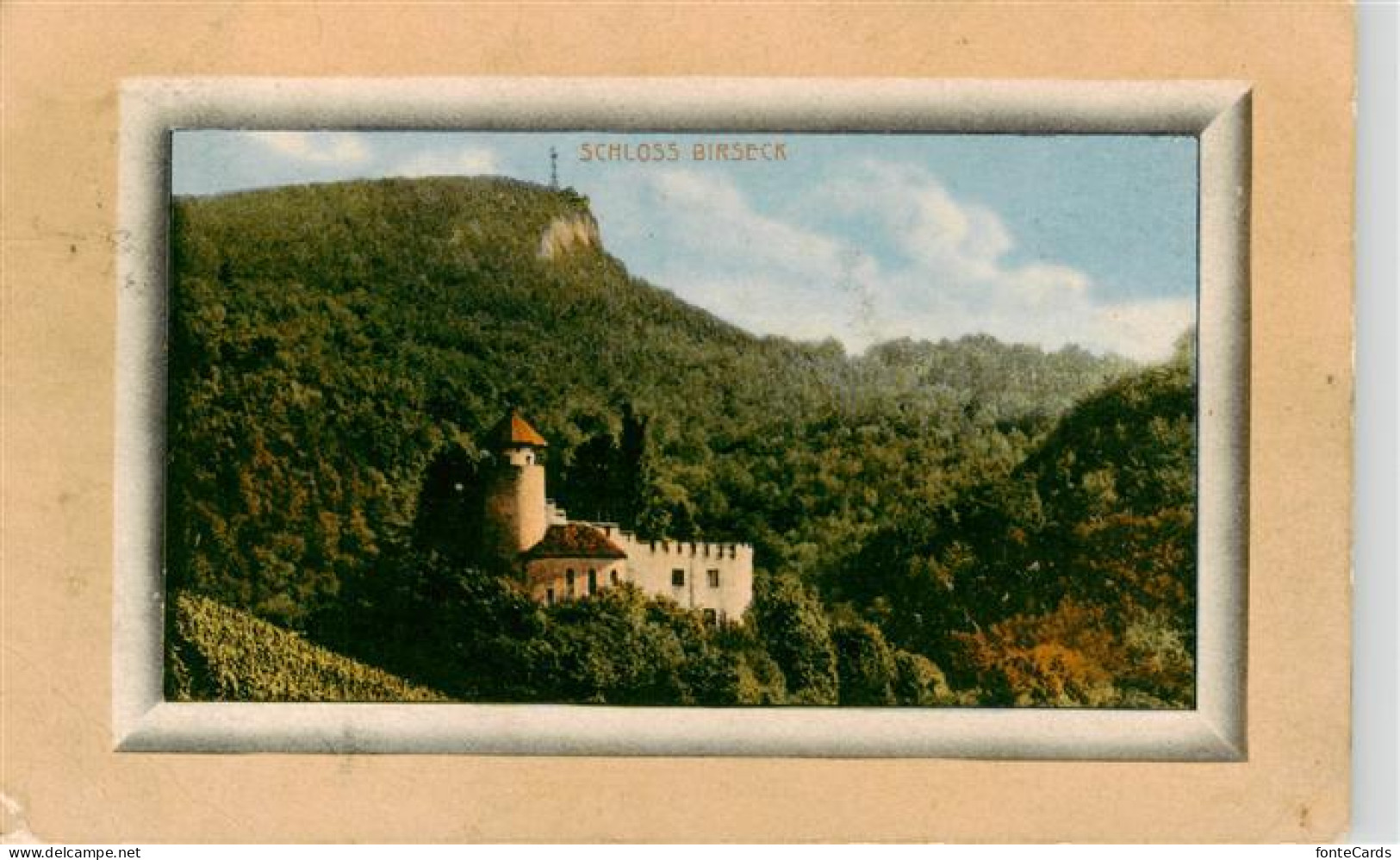 13918964 Arlesheim_BL Schloss Birseck - Autres & Non Classés