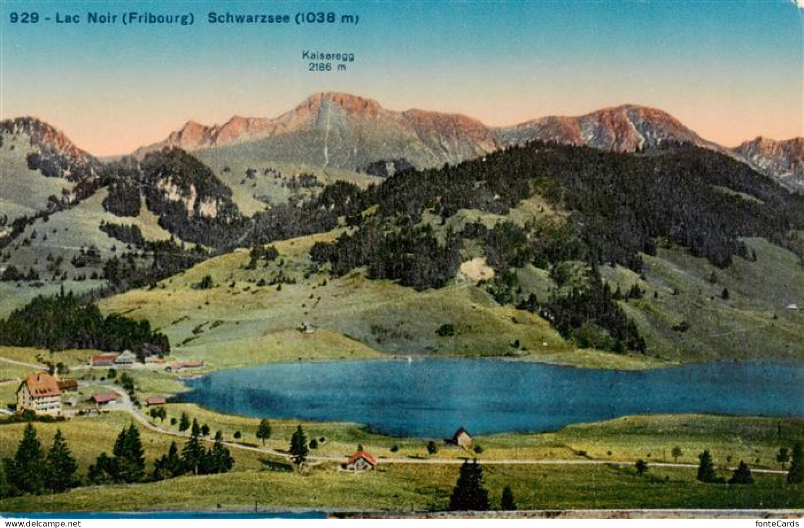 13918915 Lac_Noir_Schwarzsee_FR Vue Aerienne - Other & Unclassified