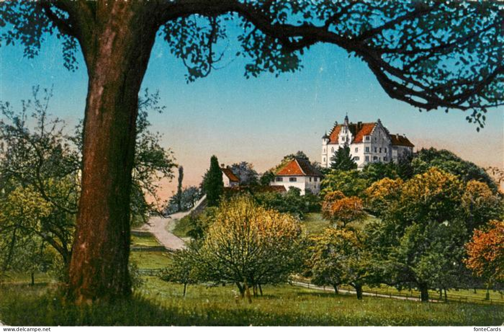 13918896 Stettfurt_TG Schloss Sonnenberg - Autres & Non Classés