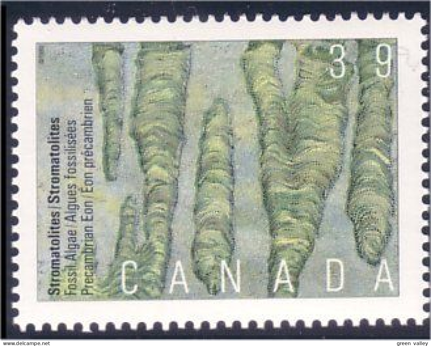 Canada Algue Fossile Algae Prehistoric Dinosaure MNH ** Neuf SC (C12-81c) - Fossili