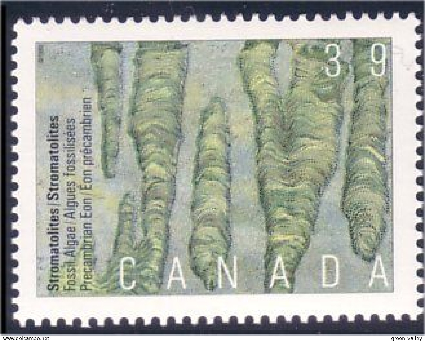 Canada Algue Fossile Algae Prehistoric Dinosaure MNH ** Neuf SC (C12-81b) - Prehistóricos