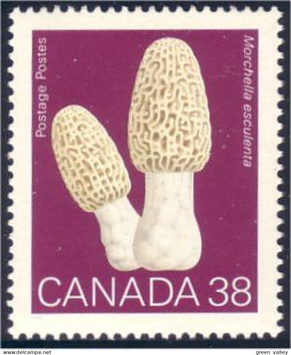 Canada Champignon Morchella Esculenta Mushroom MNH ** Neuf SC (C12-48b) - Hongos