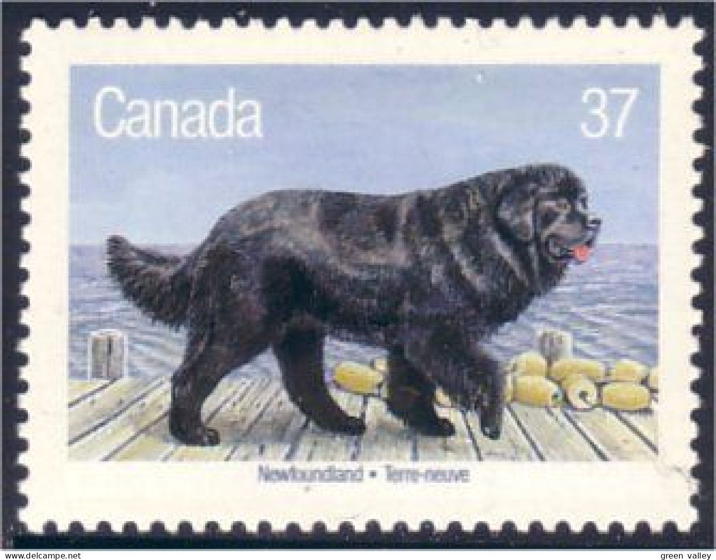 Canada Chien Terre-neuve Newfoundland Dog MNH ** Neuf SC (C12-20d) - Perros