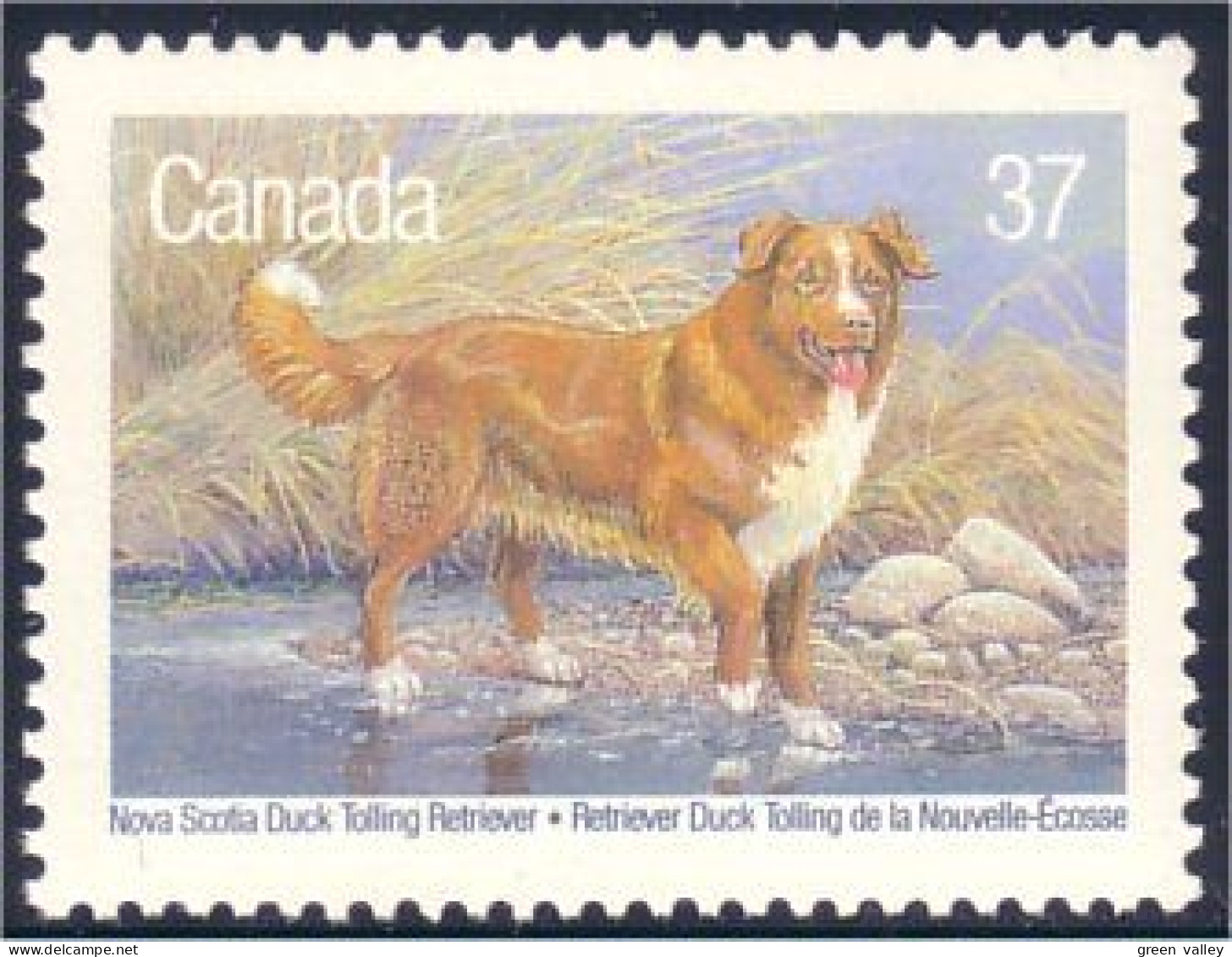 Canada Duck Tolling Retriever MNH ** Neuf SC (C12-18c) - Andere & Zonder Classificatie