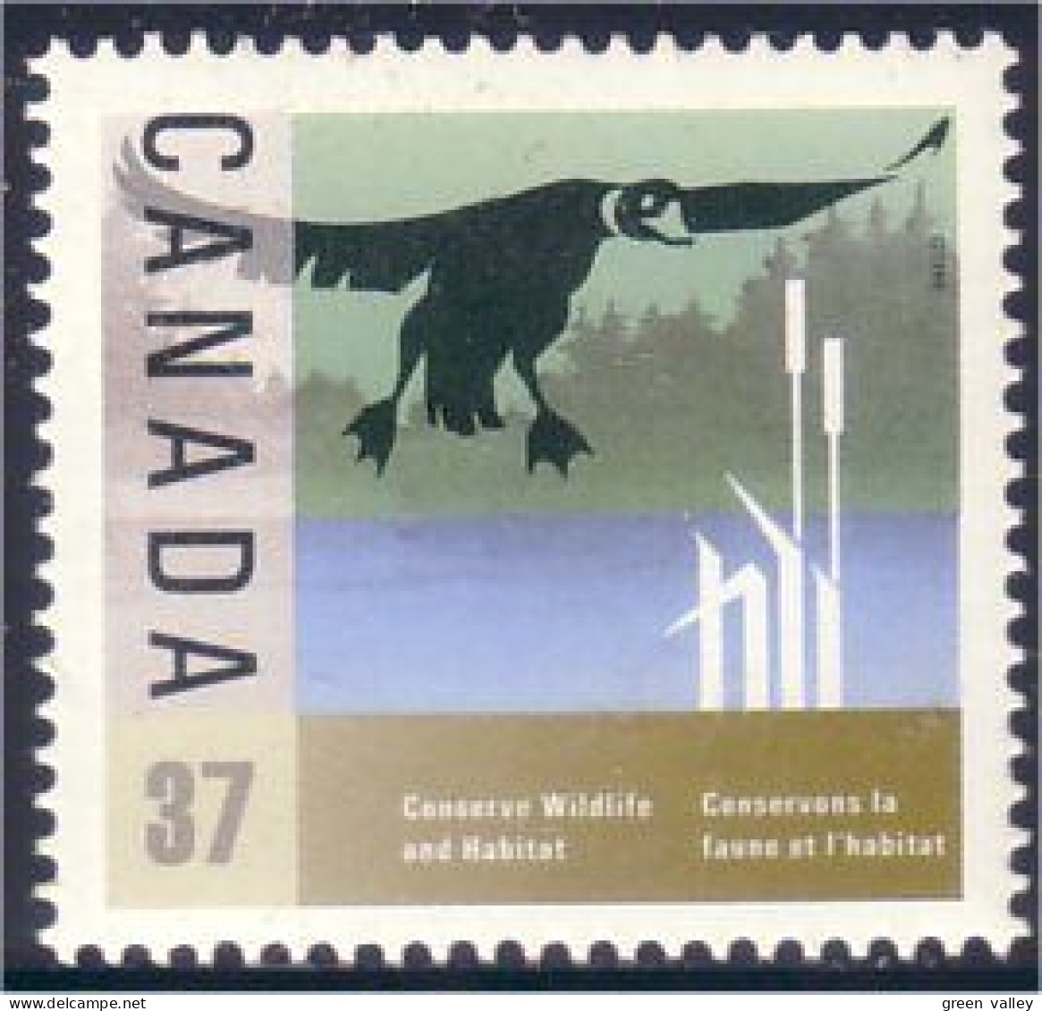 Canada Canard Duck MNH ** Neuf SC (C12-04b) - Sonstige & Ohne Zuordnung