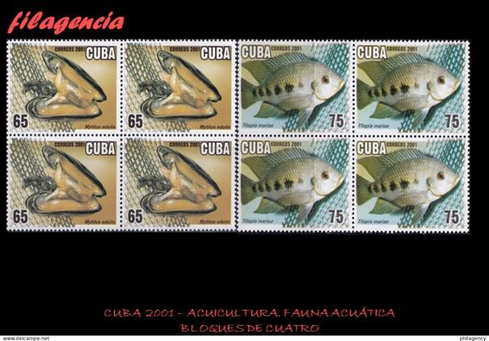 CUBA. BLOQUES DE CUATRO. 2001-15 ACUICULTURA. FAUNA ACUÁTICA - Ungebraucht