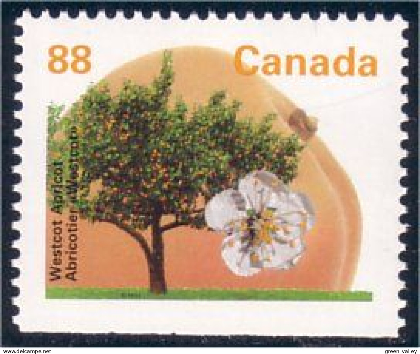 Canada Abricotier Westcott Apricot MNH ** Neuf SC (C13-73asbb) - Nuovi