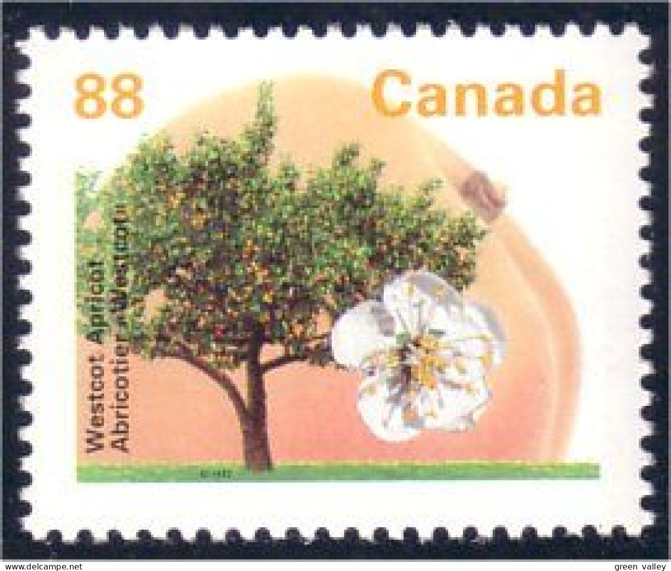 Canada Abricotier Westcott Apricot MNH ** Neuf SC (C13-73b) - Bäume